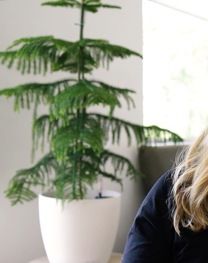 Meisterbetreuung – Melanie Heckmann, Augenoptikermeisterin